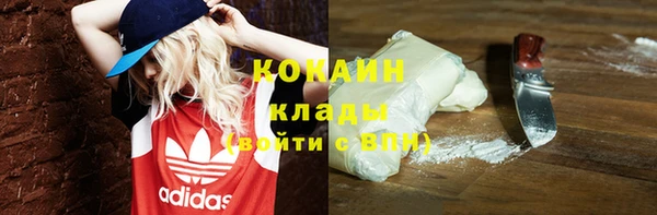 спиды Алзамай