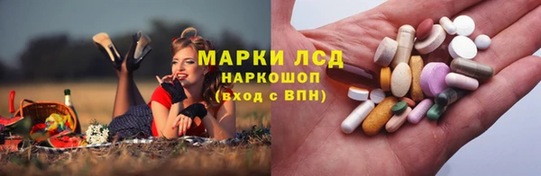спиды Алзамай