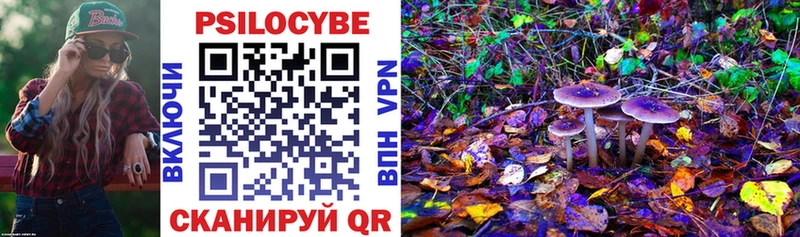 Галлюциногенные грибы мухоморы  Змеиногорск 
